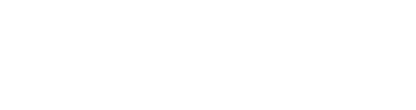 Das Hochzeitkapsel Logo